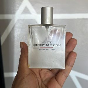 White cherry blossom